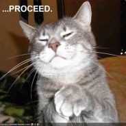 Котенок лайк